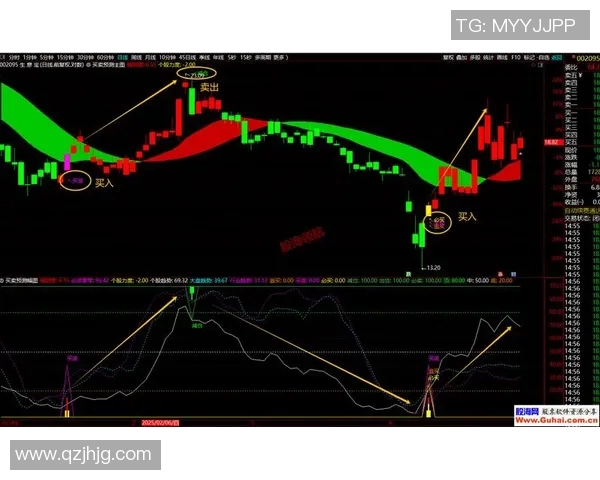 【深度解析】三分王近况+未来走势预测